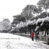 Roma, tutti pazzi per la neve!